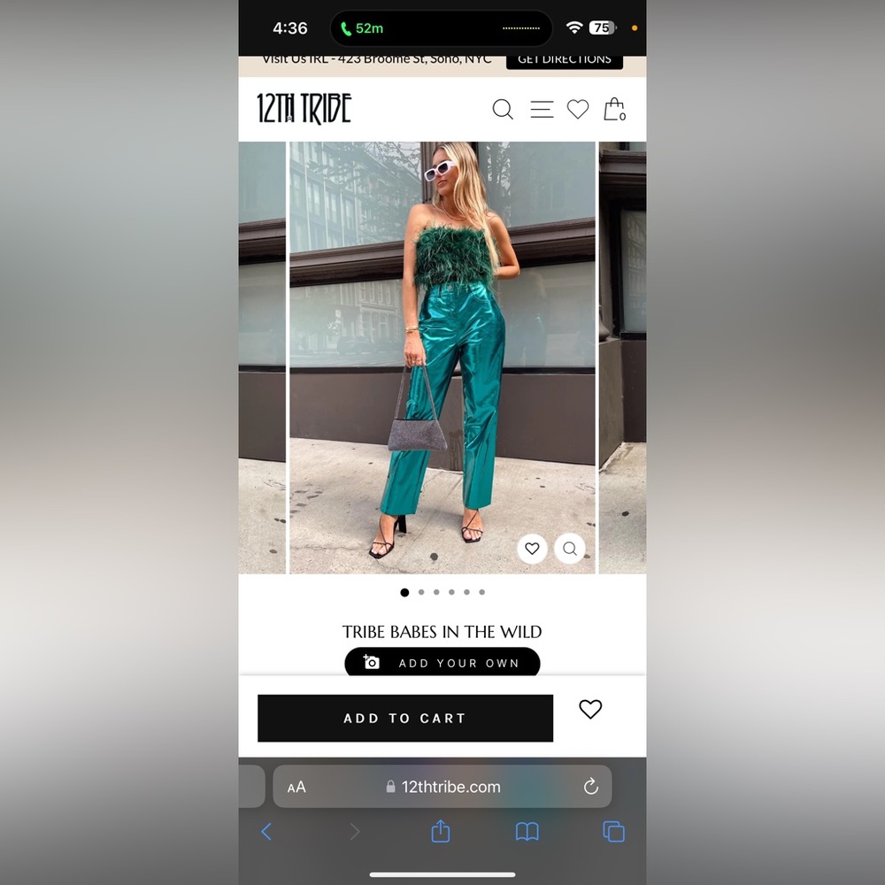 12th Tribe Metallic Pants